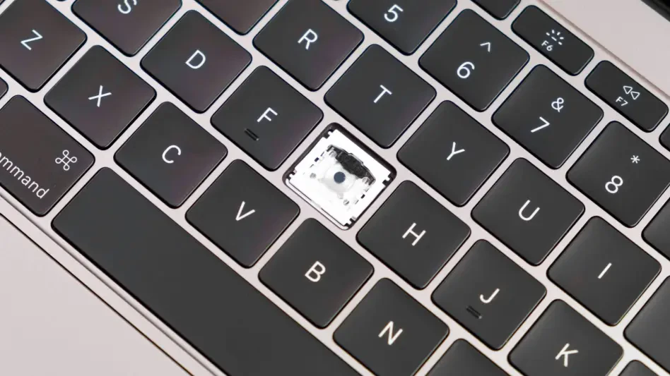 How Can You Safeguard Your Passwords and Online Data?